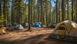 Campground Zoning Laws