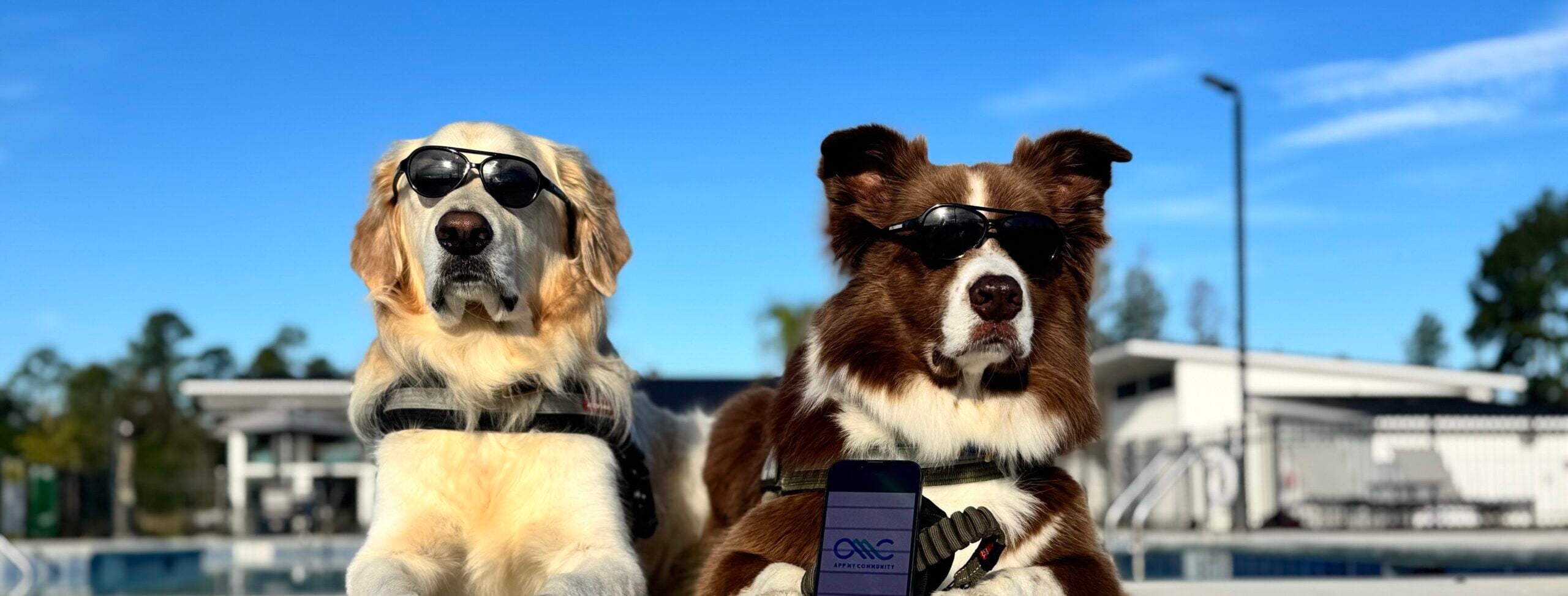 CRR Hospitality and App My Community partner to showcase the Savannah Lakes RV Resort App in a new commercial starring Willy Good Dog and Jax
